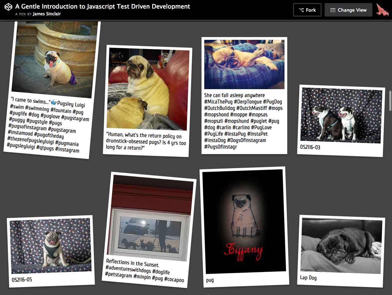 Screenshot of a web application hosted on codepen.io, showing pictures of pugs, styled to look like polaroid photographs.